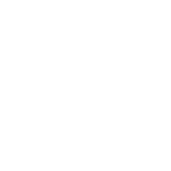 LANZA_Logo_WHT