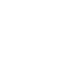 Tracey-Hughes_logo